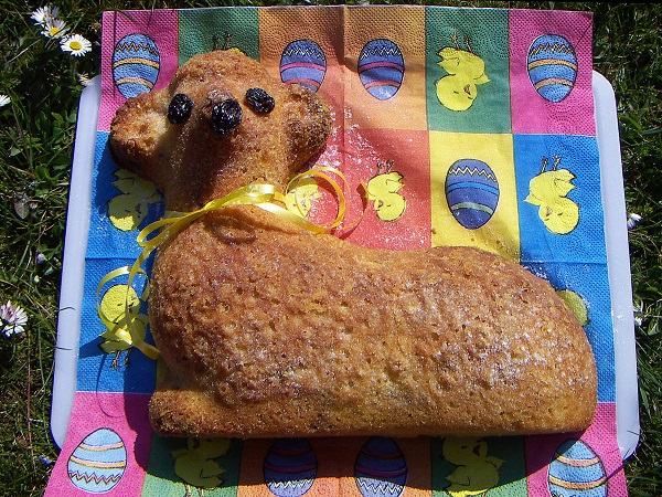 Beránek 11