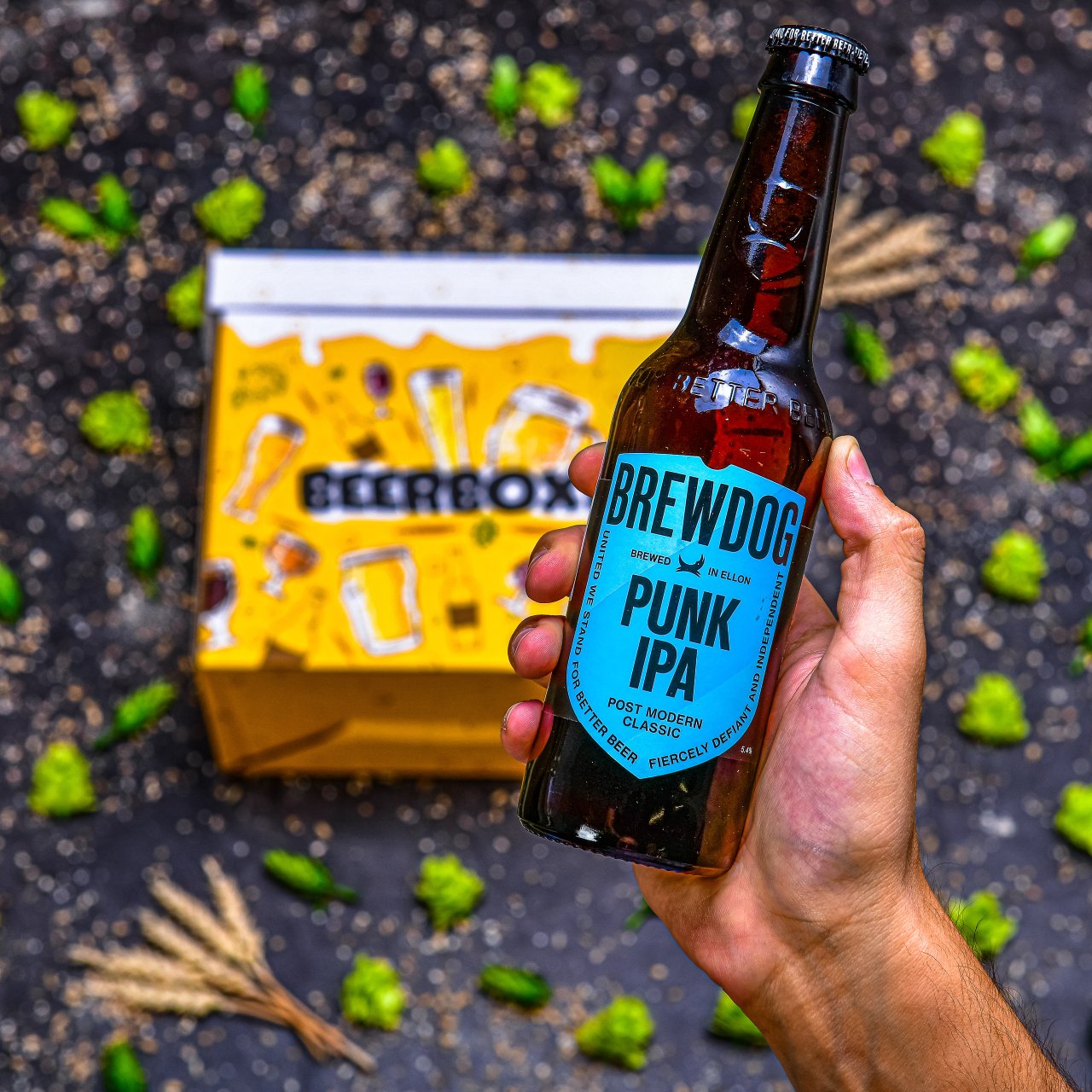 BeerBOXEO plné pivních speciálů EXCLUSIVE vol.2