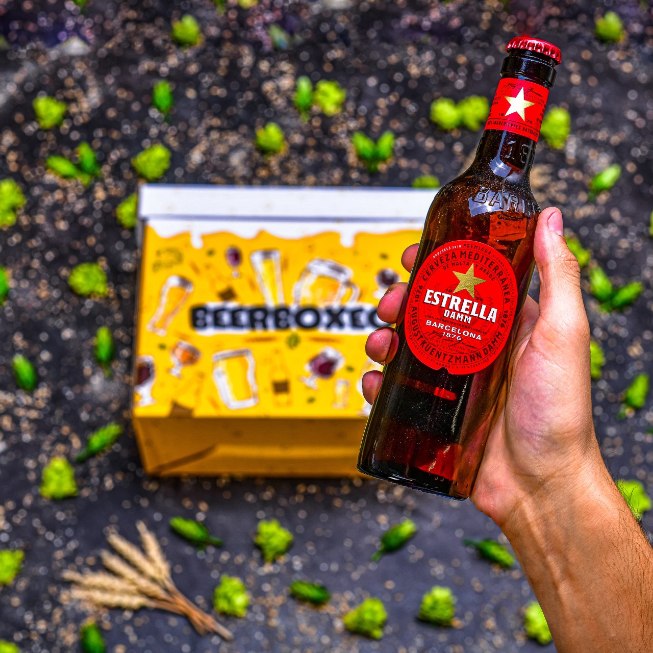 BeerBOXEO plné prémiových ležáků vol.2