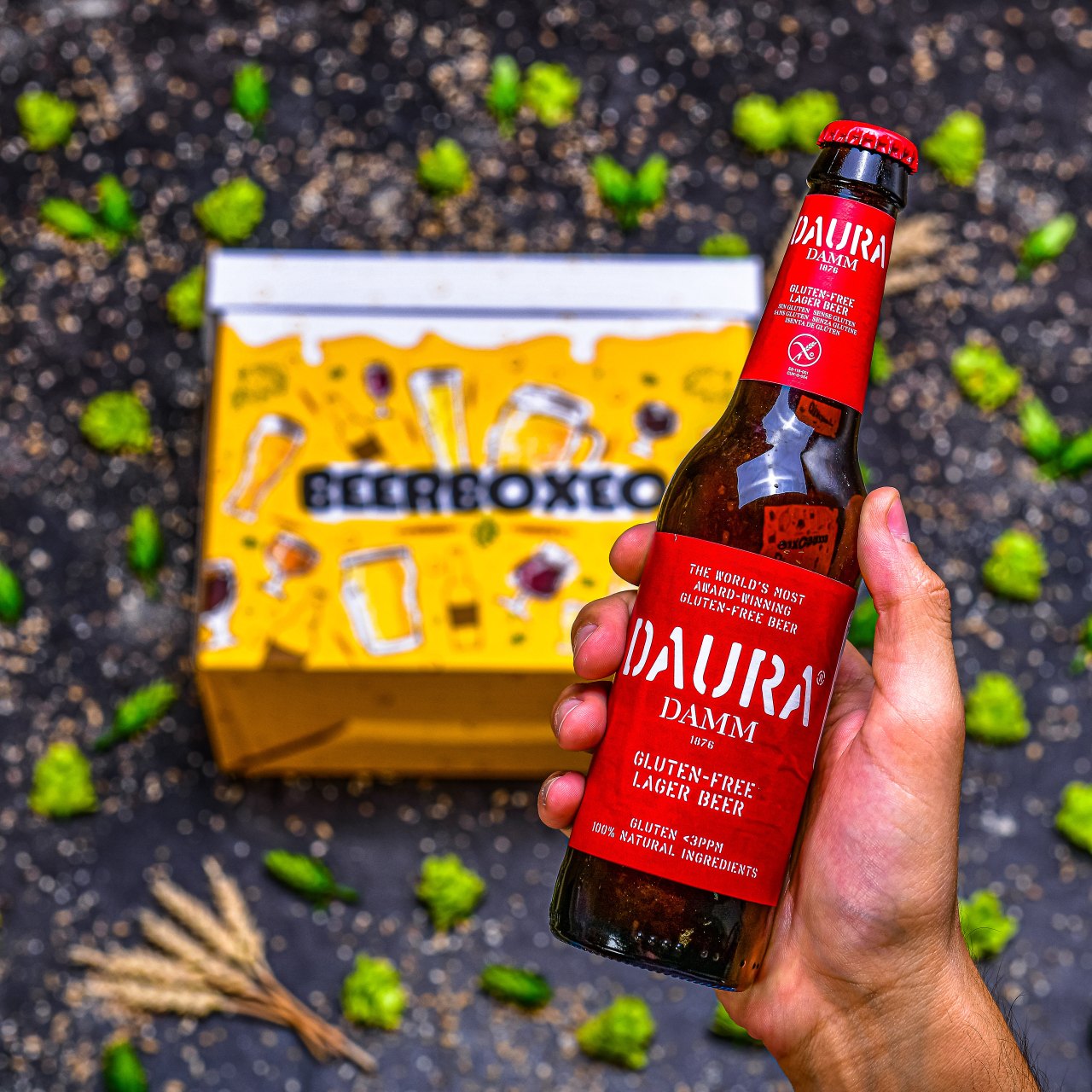BeerBOXEO plné prémiových ležáků vol.2