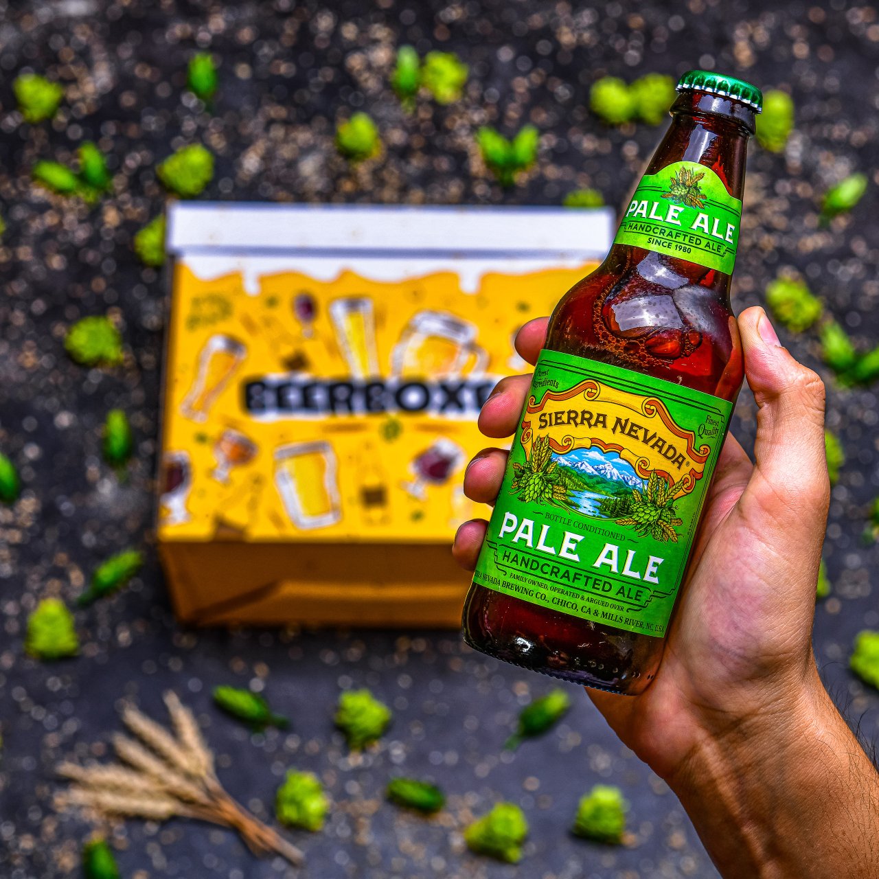 BeerBOXEO plné pivních speciálů PREMIUM a masa vol. 2