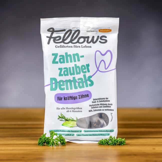 Fellows Hmyzí dentální tyčinky 160 g